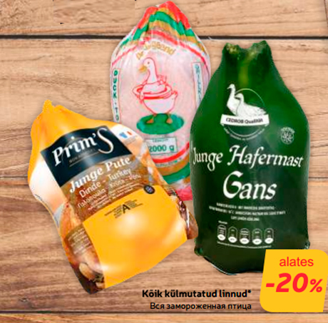 Kõik külmutatud linnud*  -20%