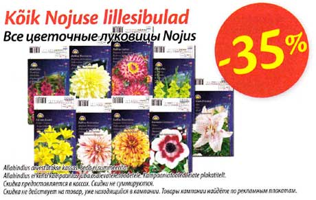 Все цветочные луковицы Nojus 