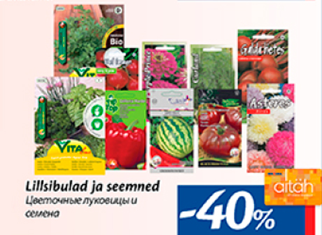 Lillsibulad ja seemned  -40%