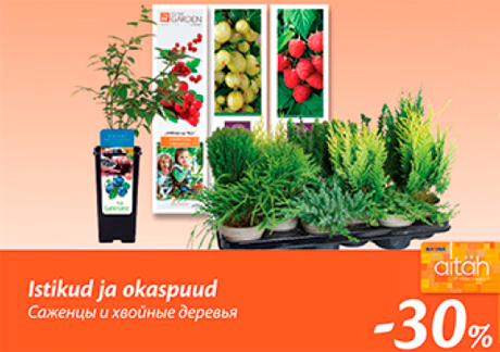 Istikud ja okaspuud  -30%