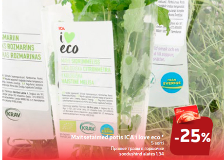 Maitsetaimed potis ICA i love eco *  -25%