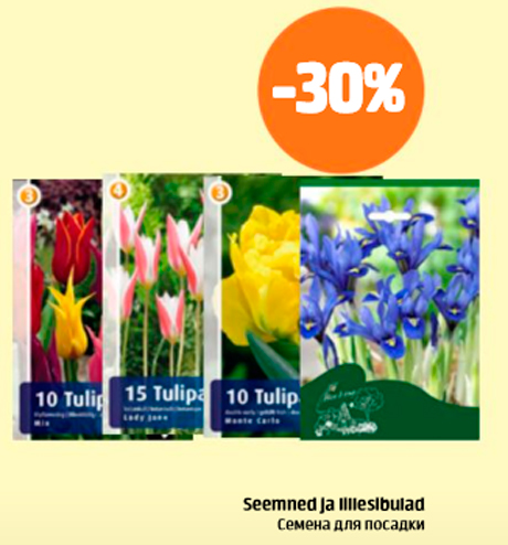 Seemned ja lillesibulad  -30%