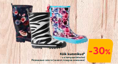 Резиновые сапоги  -30%