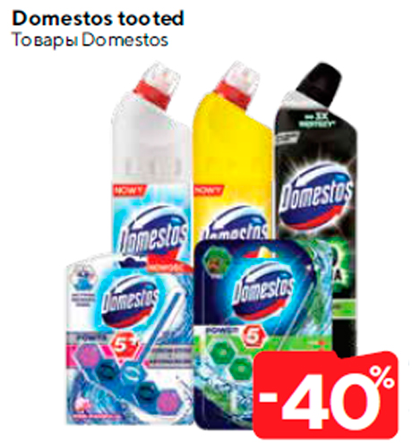 Товары Domestos  -40%