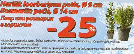Лавр или розмарин -25%