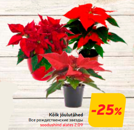 Все рождественские звезды  -25%
 