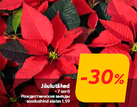 Рождественские звезды -30%
