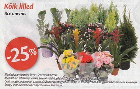 Все цветы -25%