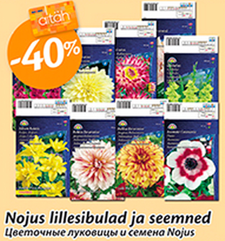 Цветочные луковицы и семена Nojus -40%
