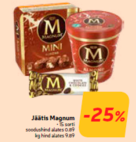 Jäätis Magnum -25%