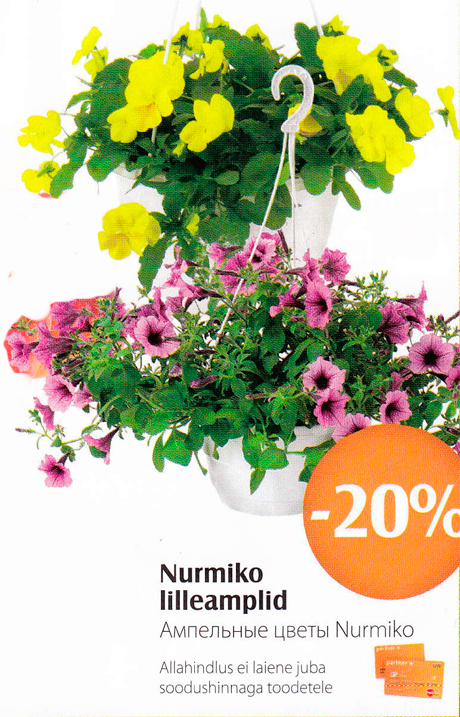 Ампельные цветы Nurmika -20%