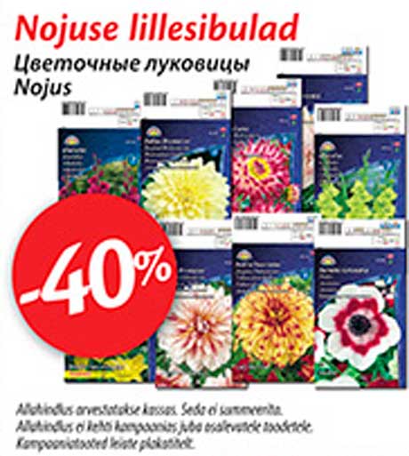 Цветочные луковицы -40%