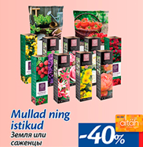 Mullad ning istikud  -40%