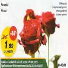 Розы