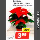 Магазин:Hüper Rimi, Rimi,Скидка:Рождественская звезда