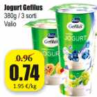 Магазин:Grossi,Скидка:Йогурт Gefilus