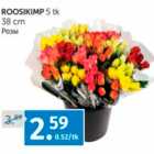 Магазин:Maksimarket, Konsum, AjaO,Скидка:РОЗЫ