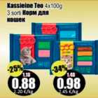 Kassieine Teo 