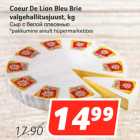 Allahindlus - Coeur De Lion Bleu Brie
valgehallitusjuust, kg