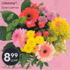 Магазин:Maxima XX,Скидка:Букет цветов