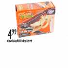 Krokodilliskelett