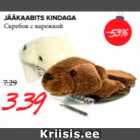 Jääkaabits kindaga