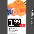Клементины