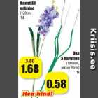 Магазин:Grossi,Скидка:Искусственные цветы
орхидея
(120 см)
1шт; ветка
 с тремя направлениями
(10 оттенков
Длина 93см)
1шт
