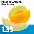 Allahindlus - MELON KOLLANE, KG