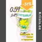 Магазин:Säästumarket,Скидка:Салат в горшочке