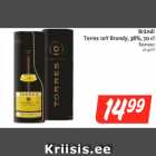 Allahindlus - Brändi Torres 10Y Brandy