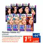 Püsivõrv Palette ICC*
