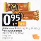 Jäätis mandli (120 ml/86 g) või soolakaramelli (90 ml/74 g)