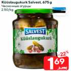 Küüslaugukurk Salvest, 675 g
