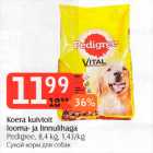 Koera kuiv toit looma- ja linnulihaga