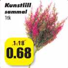 Allahindlus - Kunstlill
sammal
1tk