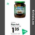 Salvest Magus kurk 675 g