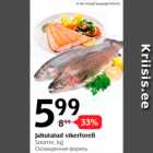 Jahutatud vikerforell