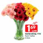 Gerberakimp, 11 tk
