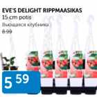 EVE´S DELIGHT RIPPMAASIKAS