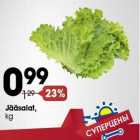 Jääsalat,
