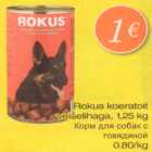 Rocus koeratoit veiselihaga