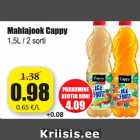 Allahindlus - Mahlajook Cappy
