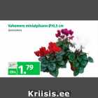 Магазин:Maksimarket, Konsum,Скидка:Цикламен