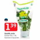 Basiilik potis