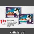 Allahindlus - Felix Fantastic
kiisueine, 4 x 100 g