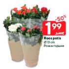 Roos potis
Ø 13 cm

