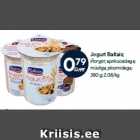 Jogurt Baltais