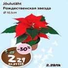 Jõulutäht
