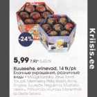 Kuuseehe, erinevad, l4 tk/pk